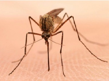 云东海杀虫灭蚊公司灭蚊子的办法有哪些