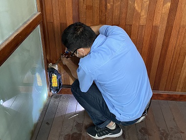 佛山消杀白蚁站家里的白蚁是怎样来的